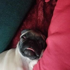 Meet your Posher, Adriana